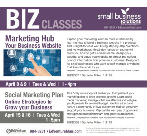 Business Marketing Series in Maui hosted by @mmmsocialmedia